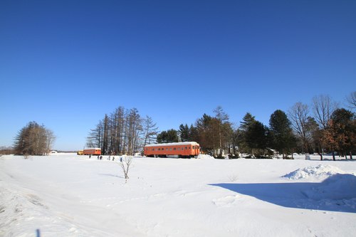 IMG_1694.jpg