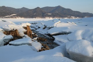 IMG_2469.jpg