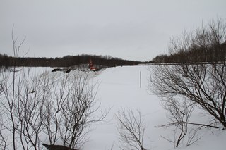 IMG_2576.jpg