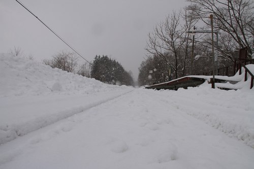 IMG_2715.jpg