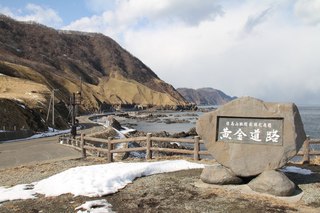 IMG_2796.jpg
