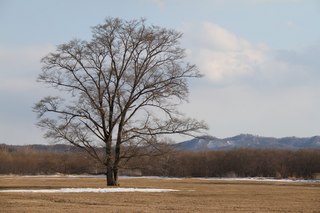 IMG_3001.jpg