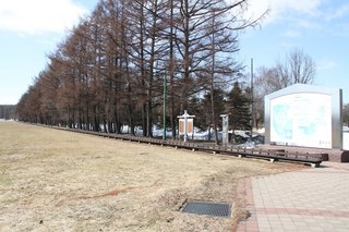 IMG_3124.jpg