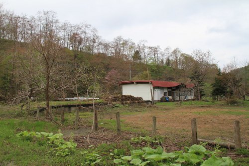 IMG_3473.jpg