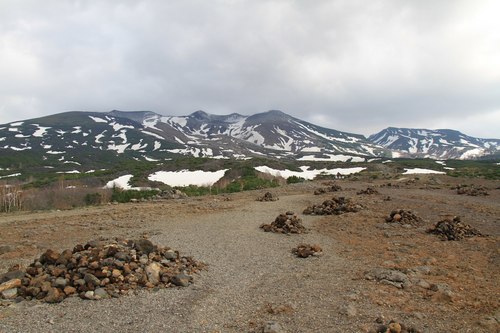IMG_3594.jpg