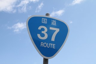 IMG_3775.jpg