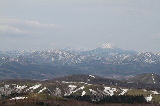 IMG_4179.jpg