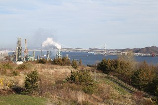 IMG_4690.jpg