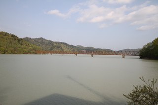IMG_5441.jpg