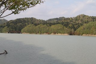 IMG_5470.jpg