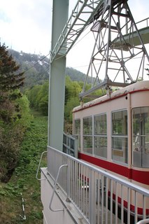IMG_5671.jpg