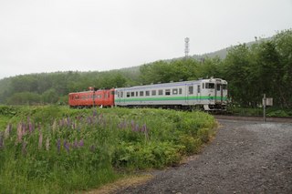 IMG_6304.jpg