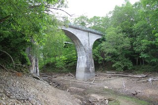 IMG_6382.jpg