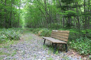 IMG_6428.jpg
