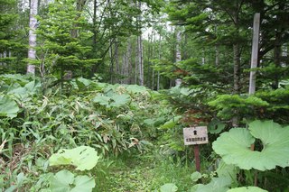 IMG_6432.jpg