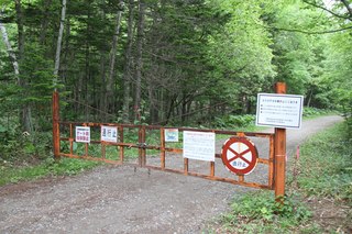 IMG_6475.jpg