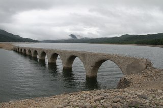 IMG_6492.jpg