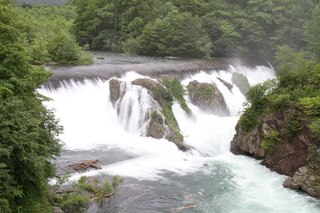 IMG_6603.jpg
