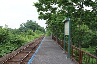 IMG_6805.jpg