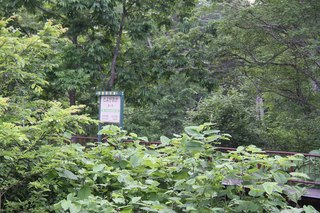 IMG_6813.jpg