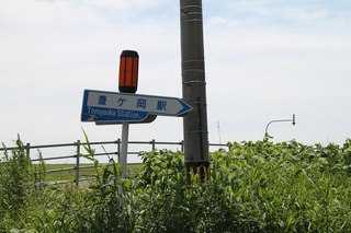 IMG_6859.jpg
