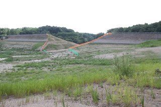 IMG_7020.jpg