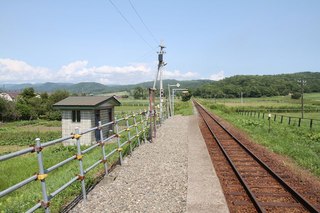 IMG_7267.jpg