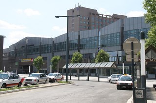 IMG_7432.jpg
