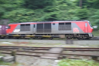 IMG_7656.jpg