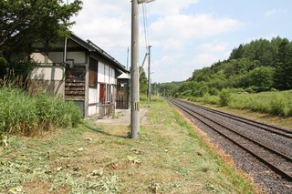 IMG_7941.jpg