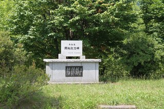 IMG_7956.jpg