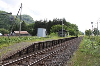 IMG_7977.jpg