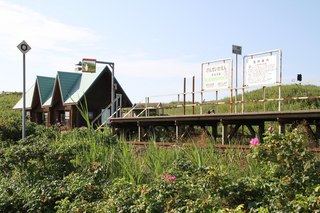 IMG_8161.jpg