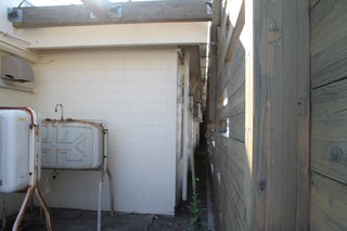 IMG_8176.jpg