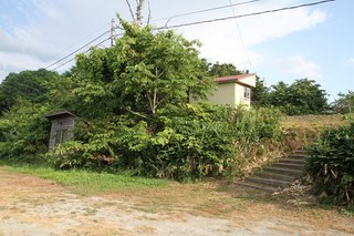 IMG_8237.jpg