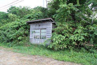 IMG_8247.jpg