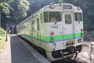 IMG_8356.jpg
