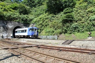 IMG_8485.jpg