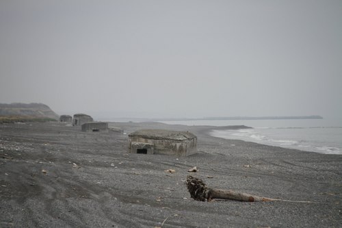 IMG_8533.jpg