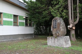 IMG_8649.jpg
