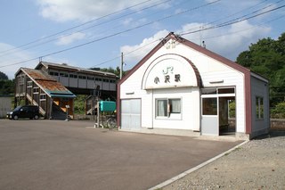 IMG_8786.jpg