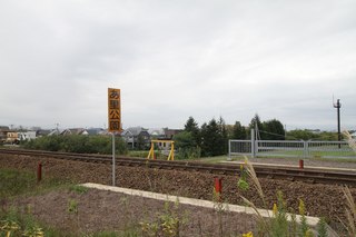 IMG_8910.jpg