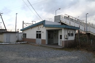 IMG_9895.jpg