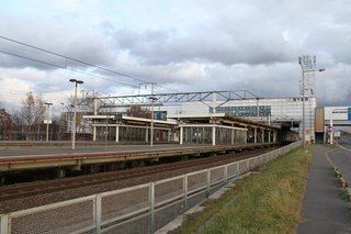 IMG_9906.jpg