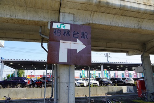 NTP00542.jpg