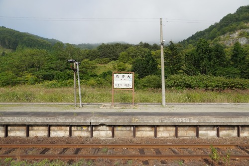 NTP02568.jpg