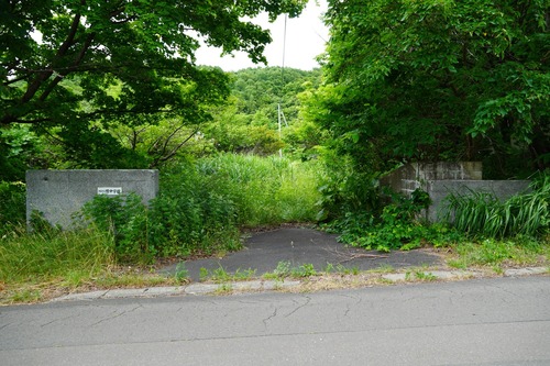 NTP02989.jpg