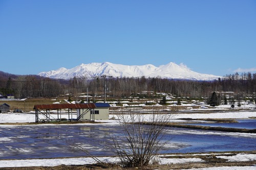 NTP06586.jpg