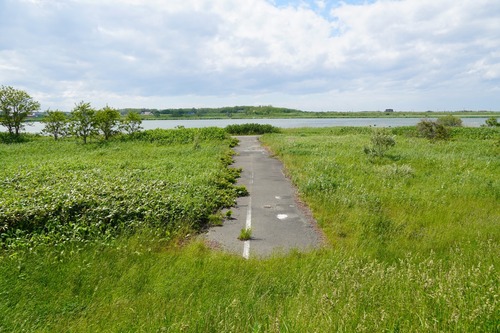 NTP08100.jpg