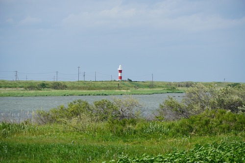 NTP08114.jpg
